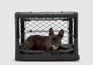 Diggs Revol Dog Crate - Charcoal - SMALL
