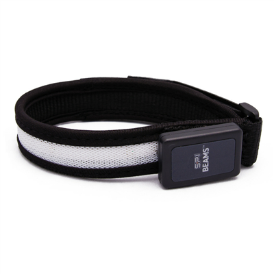 SPIbeams LED Arm Band / Dog Collar - 10-12"